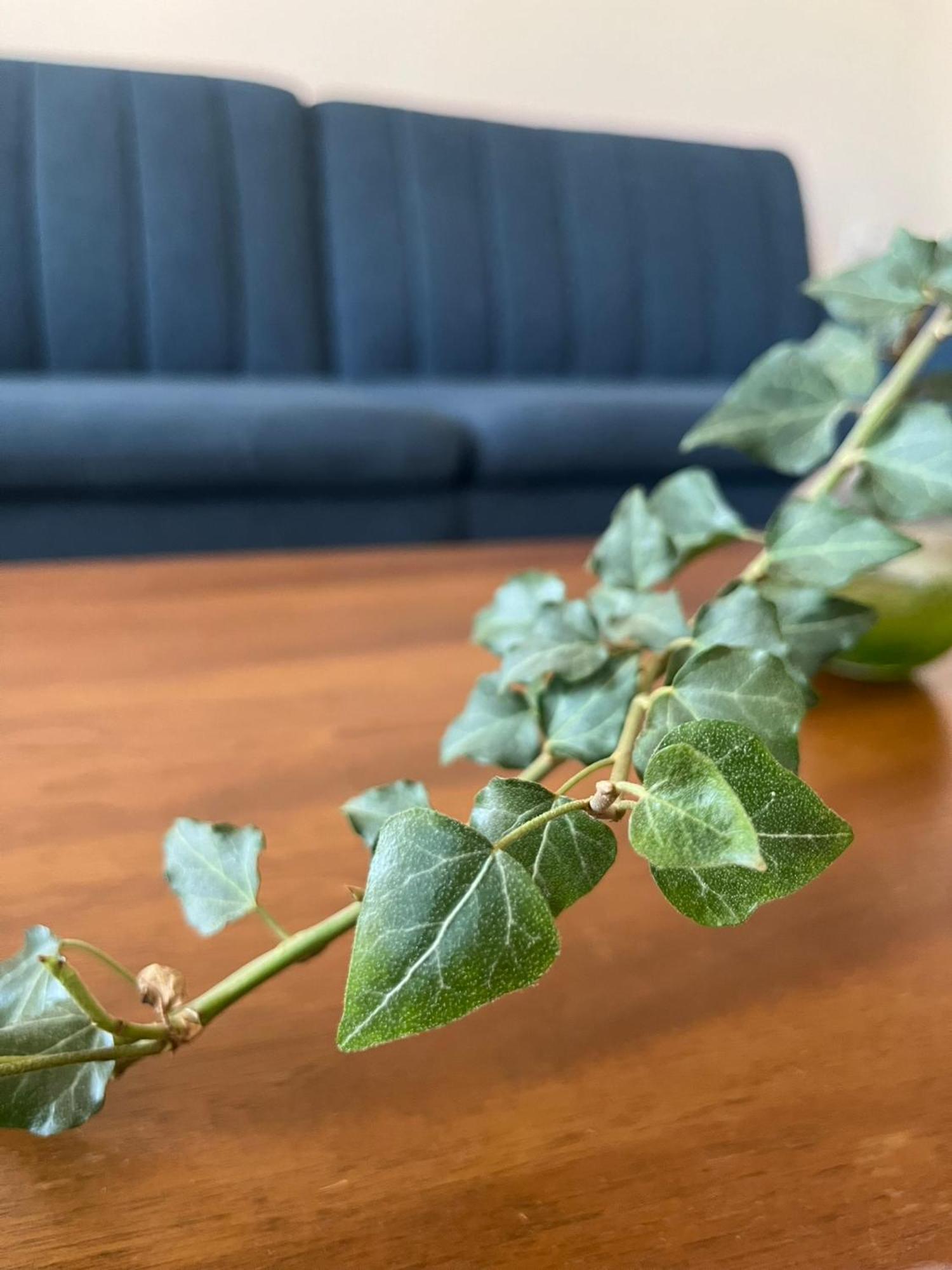 Mz Apartment Néa Péramos Kültér fotó